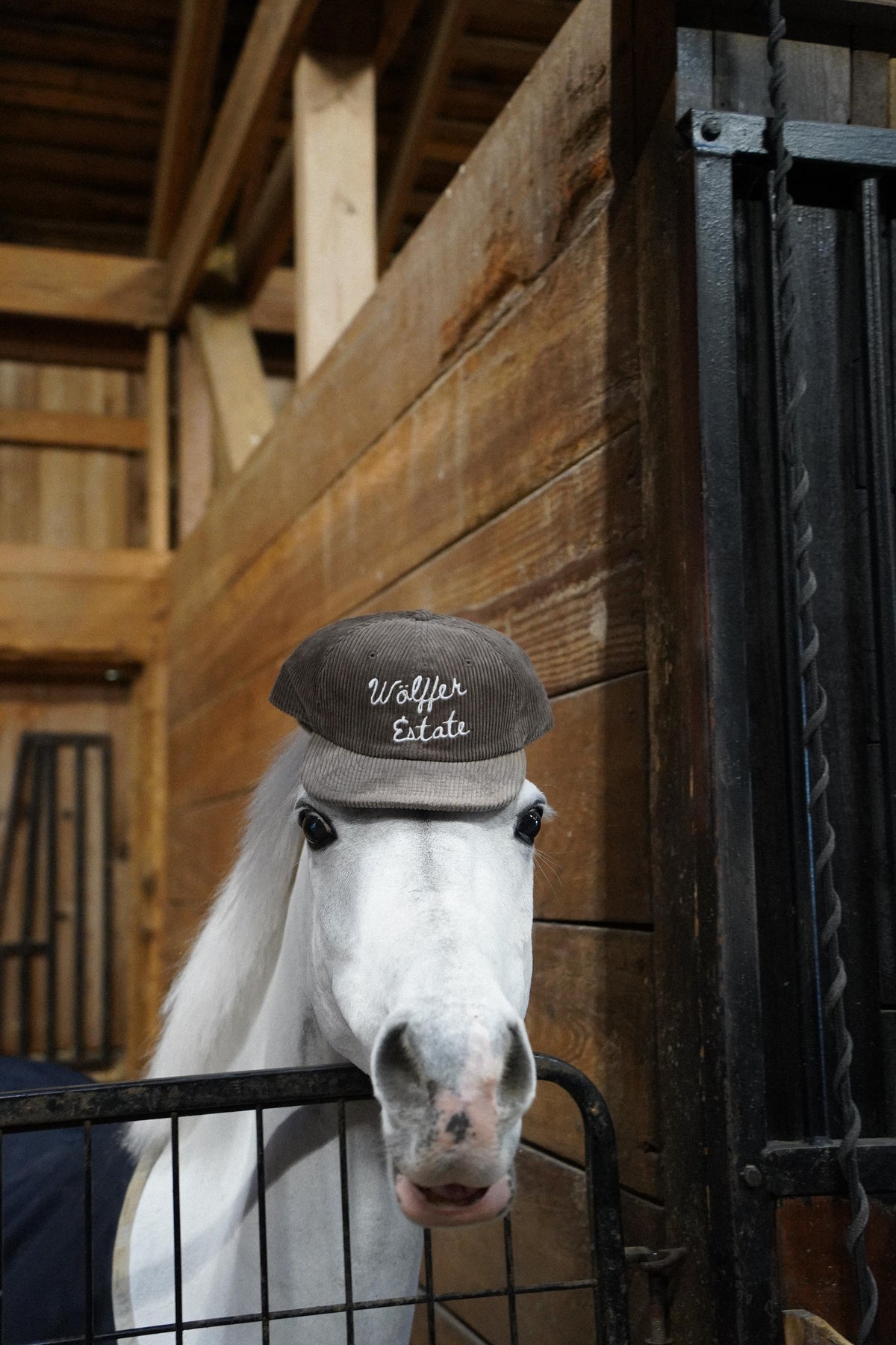 Corduroy Brown Hat
